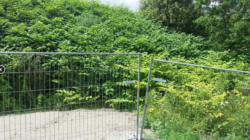 De natuur is net een vuilnisbelt De natuur is net een vuilnisbelt